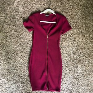 Express Pink Zip Up Dress